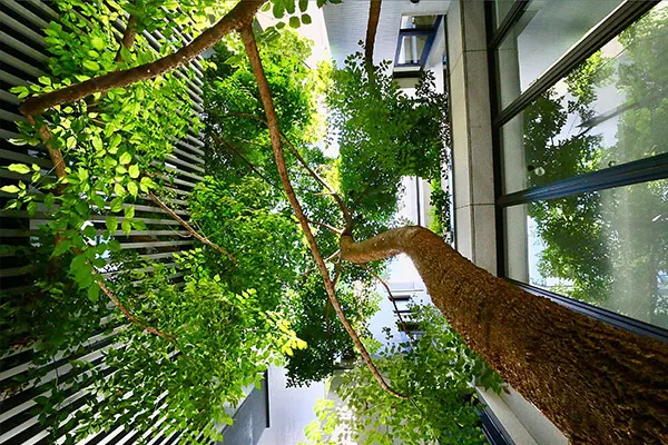 原生三璽建案主視覺 2