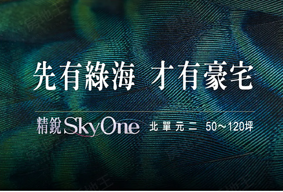 精銳Sky One建案圖輯 1