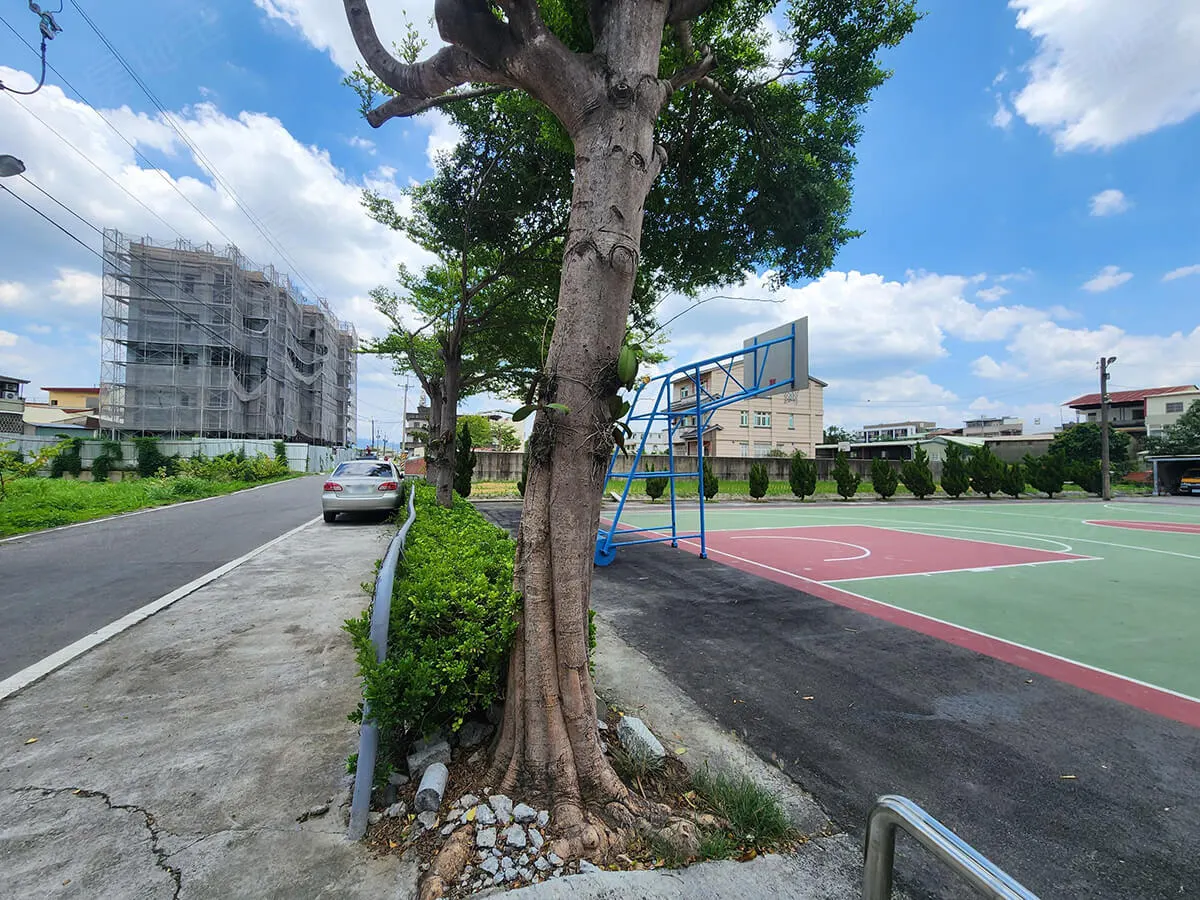 碧峰田園建案圖輯 4
