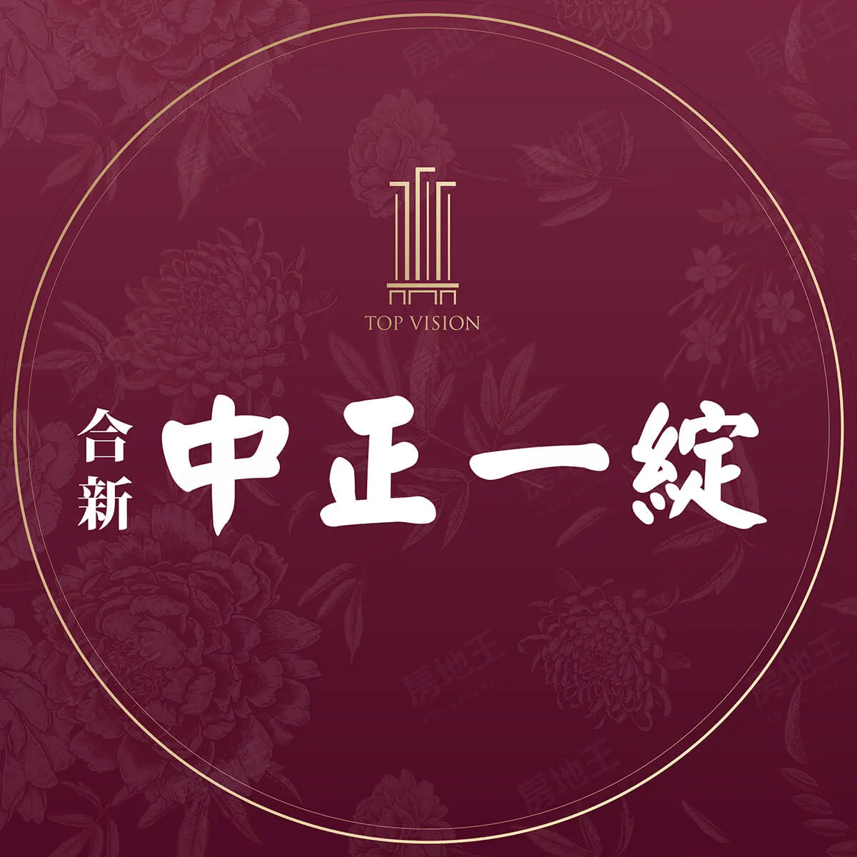 合新中正一綻建案圖輯 1